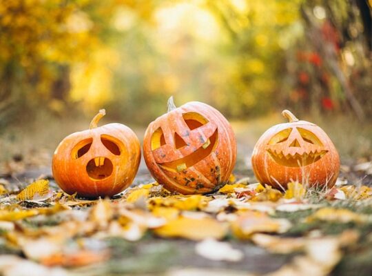 Sådan laver du uhyggelig halloween-pynt med ting fra genbrugen