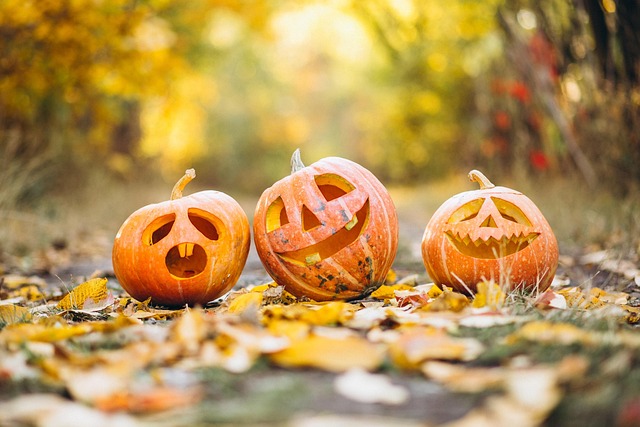 Sådan laver du uhyggelig halloween-pynt med ting fra genbrugen