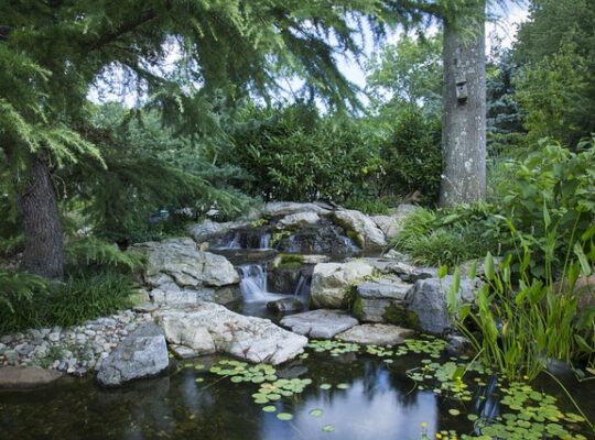 Skab en oase i din have med en vandsten og smukke planter